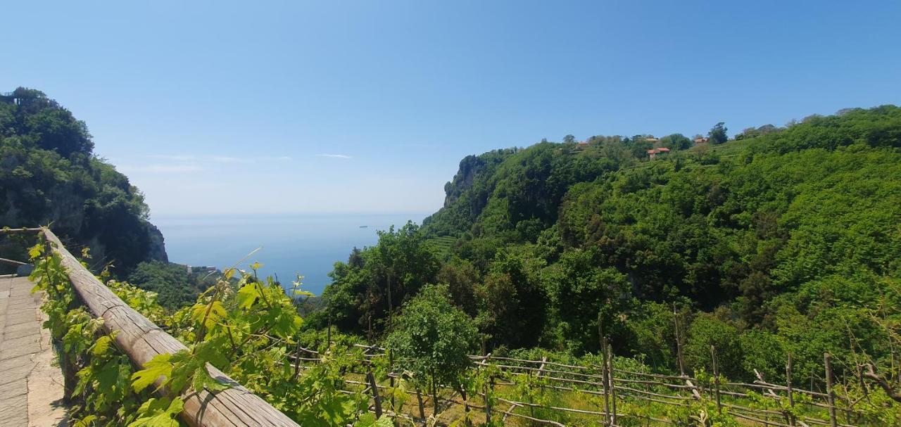 아제롤라 La Cicogna B&B 외부 사진